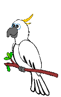 pafagaukur875.gif