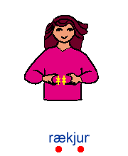 raekjurtakn.gif (4042 bytes)